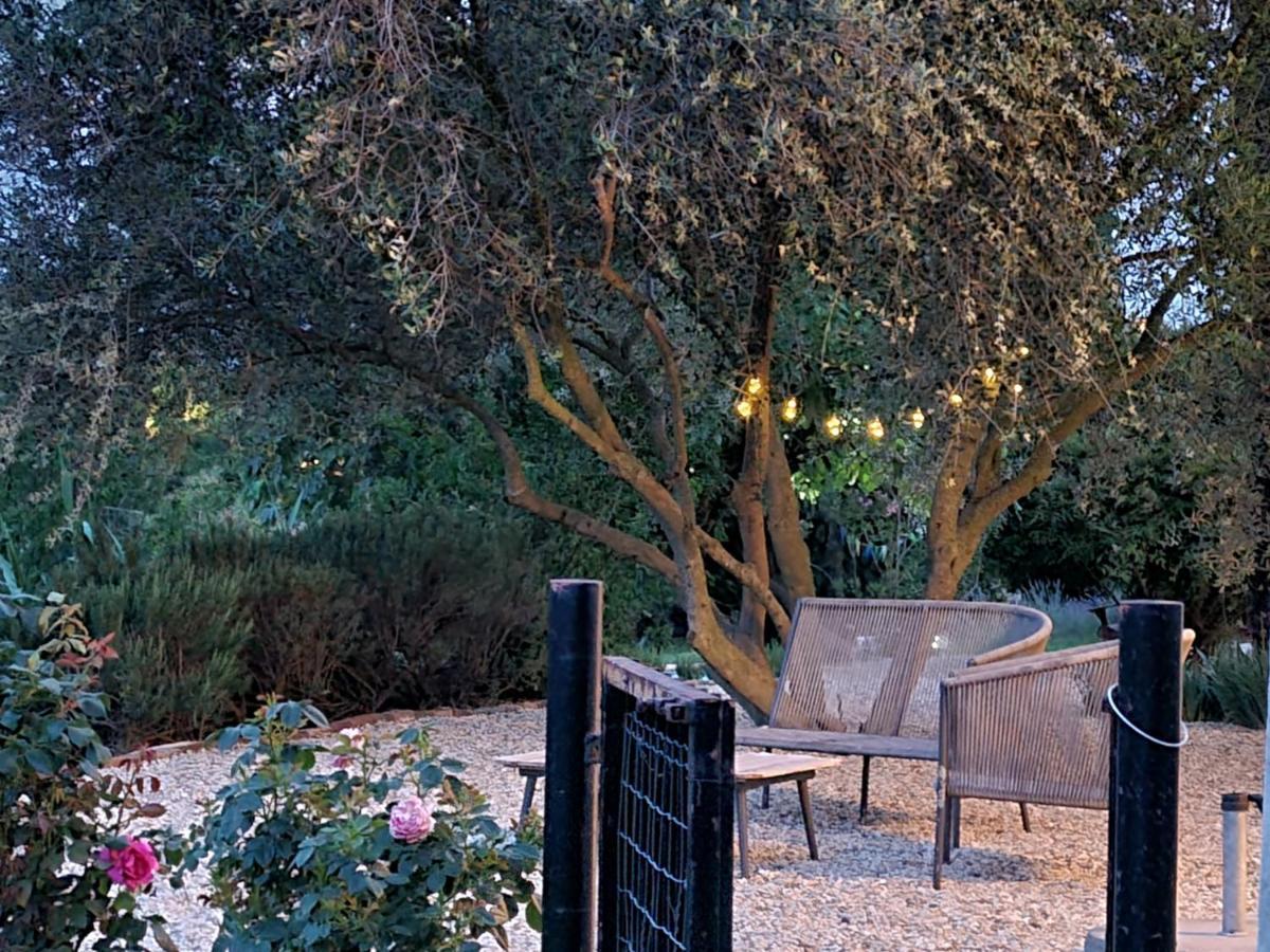 Tenuta Dei Vicini - Luxury Apartments San Marzano Oliveto Eksteriør bilde